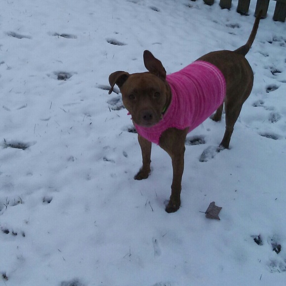 Meet your Posher, Kimberlyโ๐๐ - Picture 5 of 6